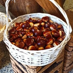 Cesta de mimbre con castañas ecológicas pelonas recién recogidas